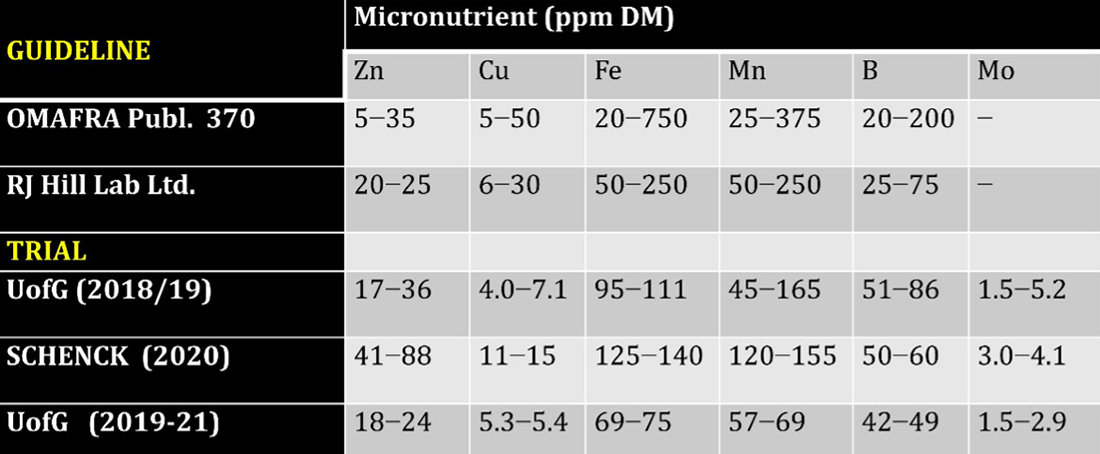 chart 6